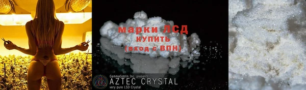 ГАЛЛЮЦИНОГЕННЫЕ ГРИБЫ Алексин