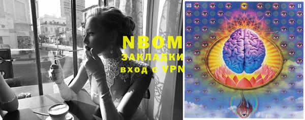 ГАЛЛЮЦИНОГЕННЫЕ ГРИБЫ Алексин
